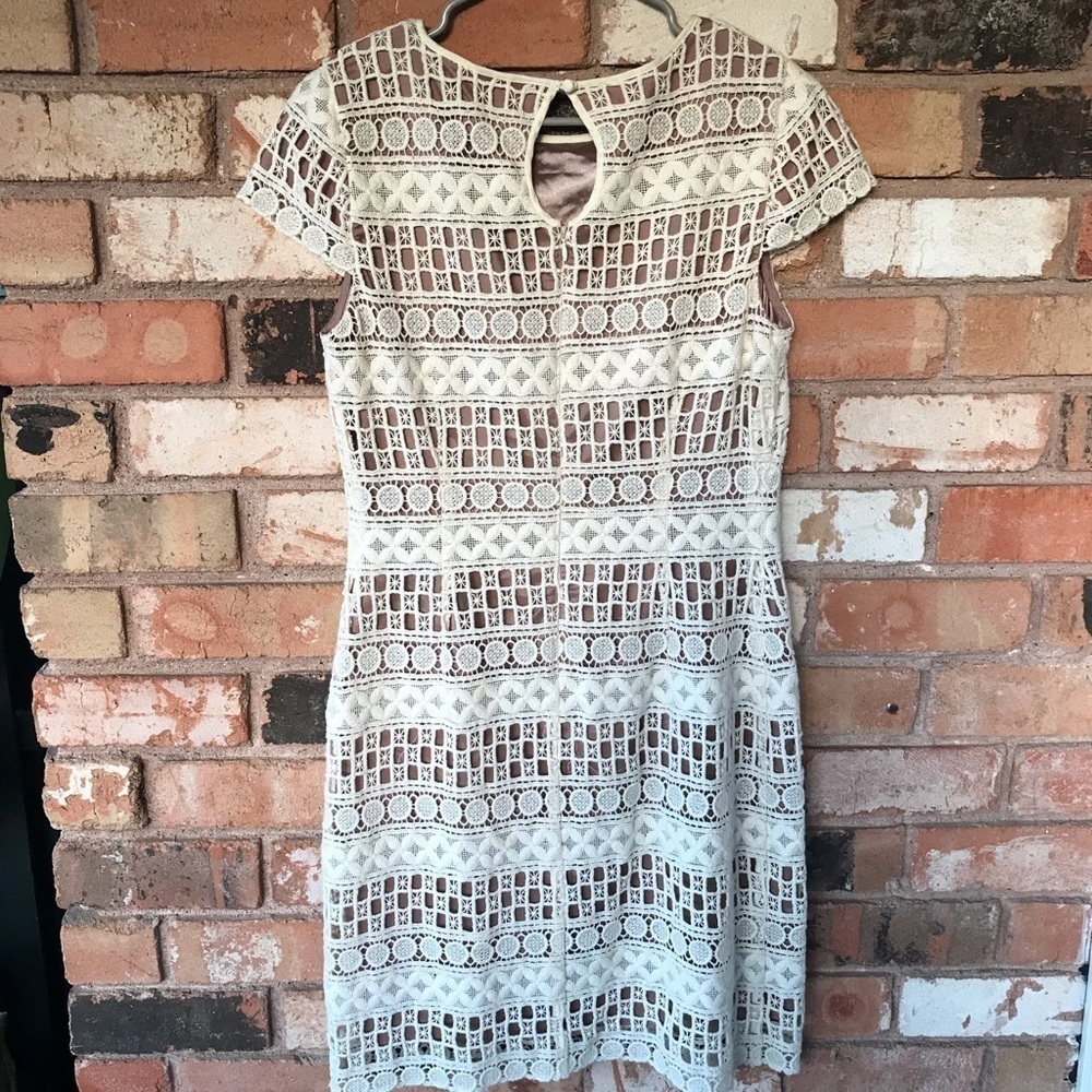 Eliza J Crochet Short Sleeve midi dress - Picture 6 of 7